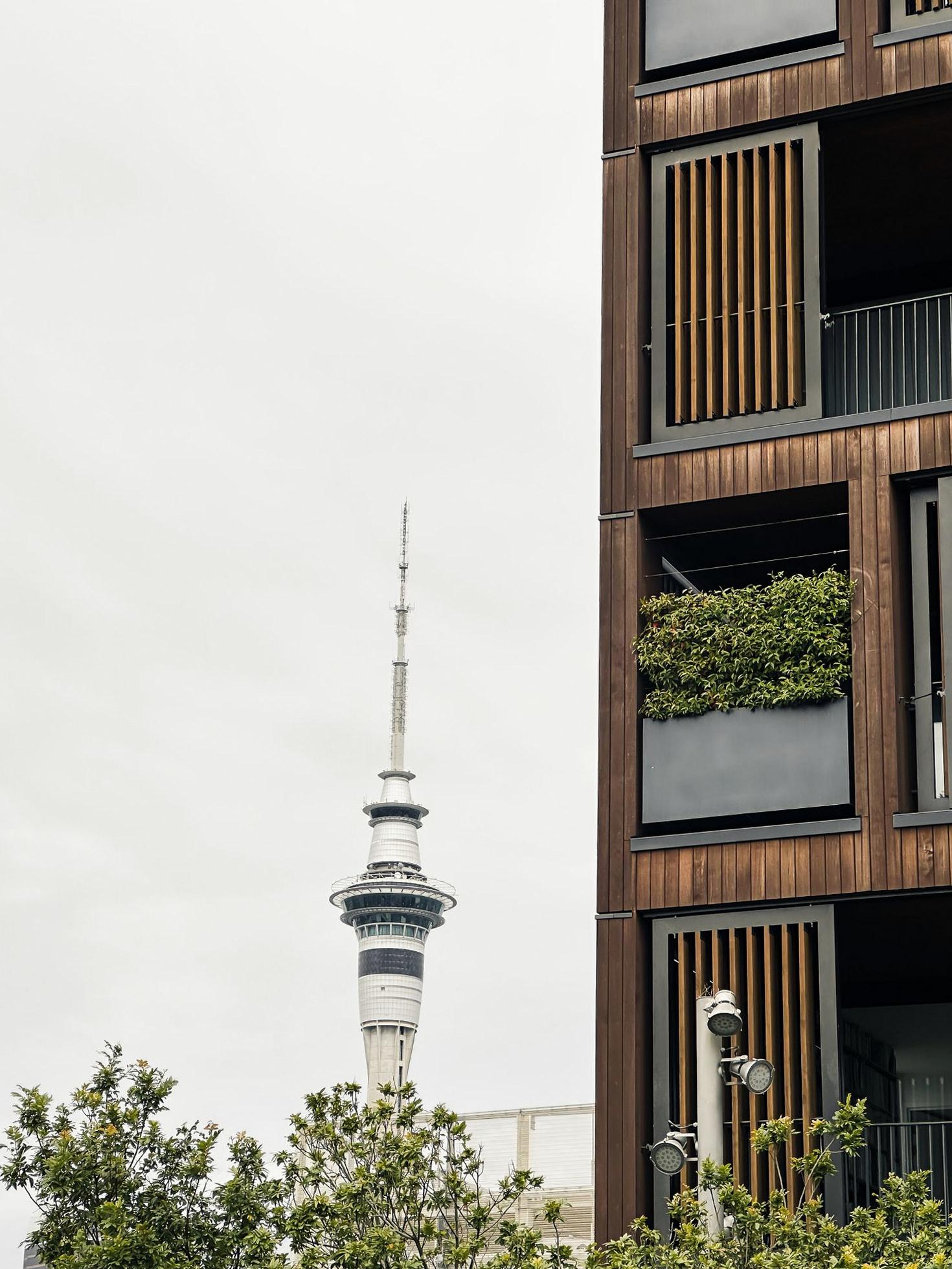 Auckland City Scape