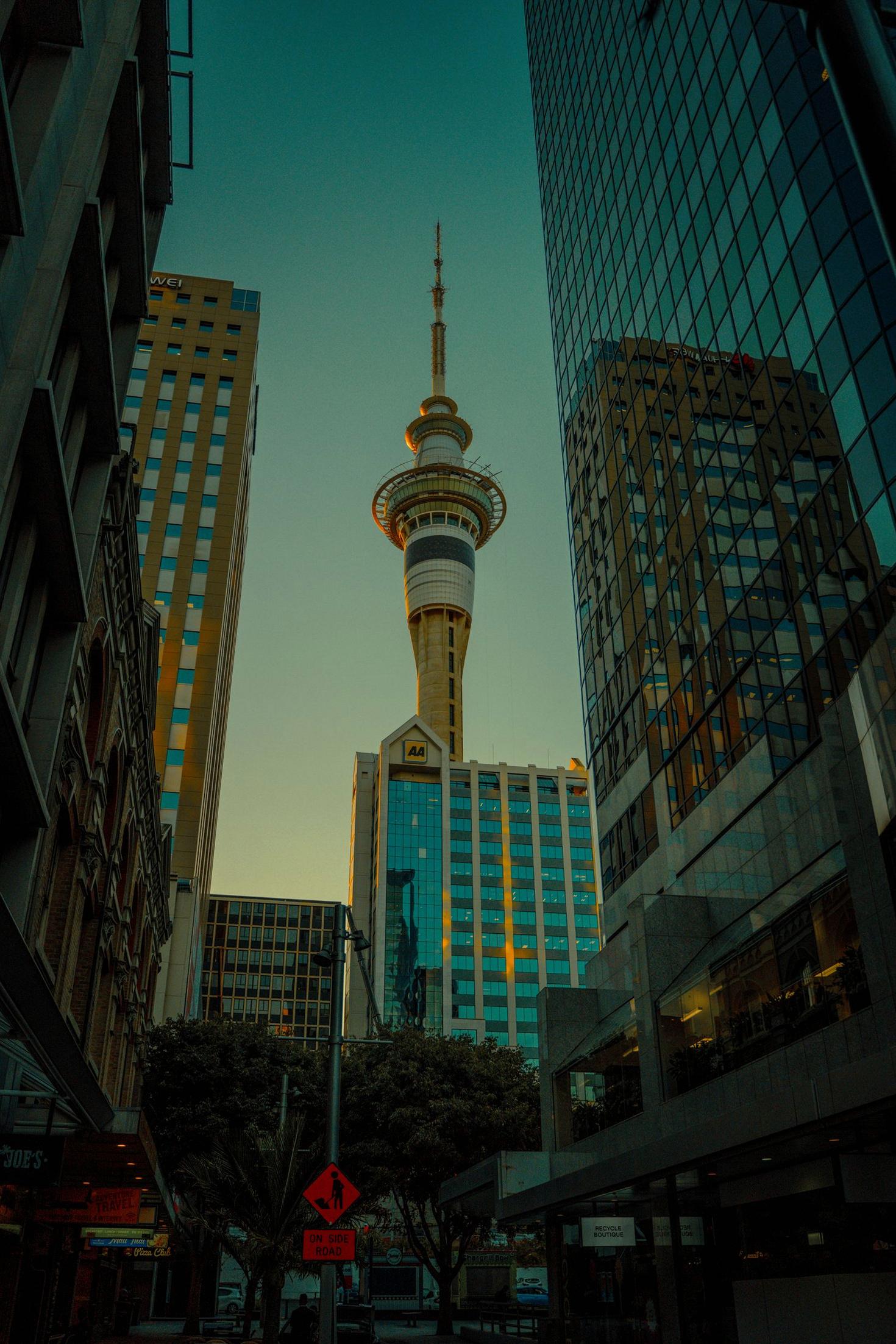 Auckland Skyline at Dusk